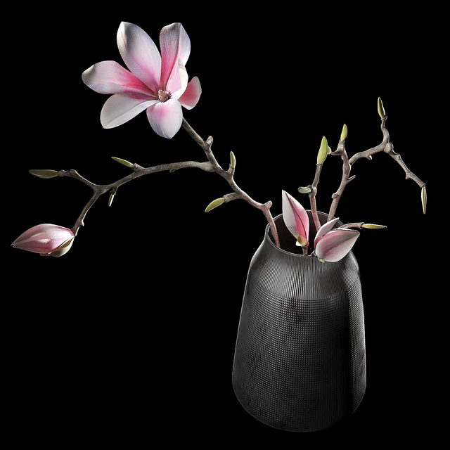 Decorative set 002 — Скачать