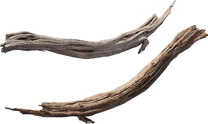 desert western tree log dead small 005 — Скачать