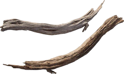 desert western tree log dead small 005 — Скачать
