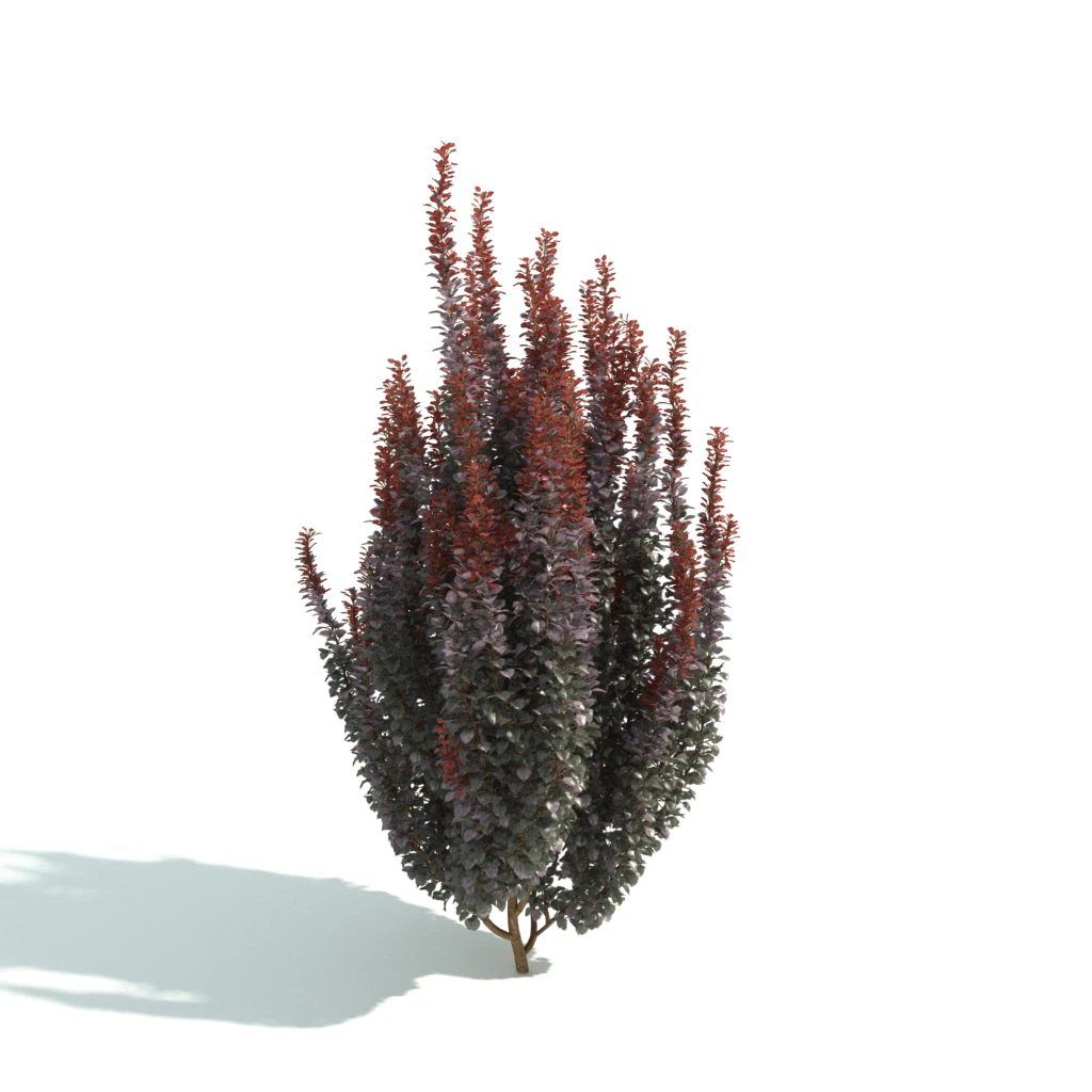 hedges 048 — Скачать
