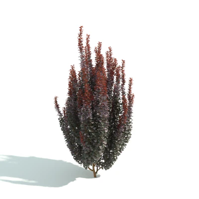 hedges 048 — Скачать