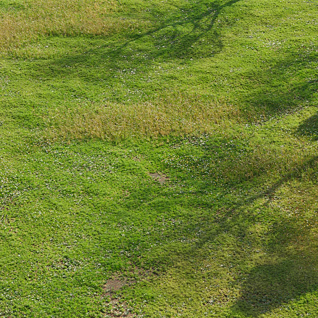 Realistic meadow grass — Descargar
