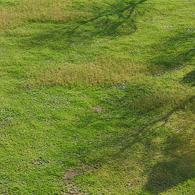 Realistic meadow grass — Ver 3
