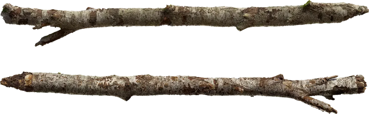 birch log 002 — Скачать