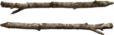 birch log 002 — Скачать