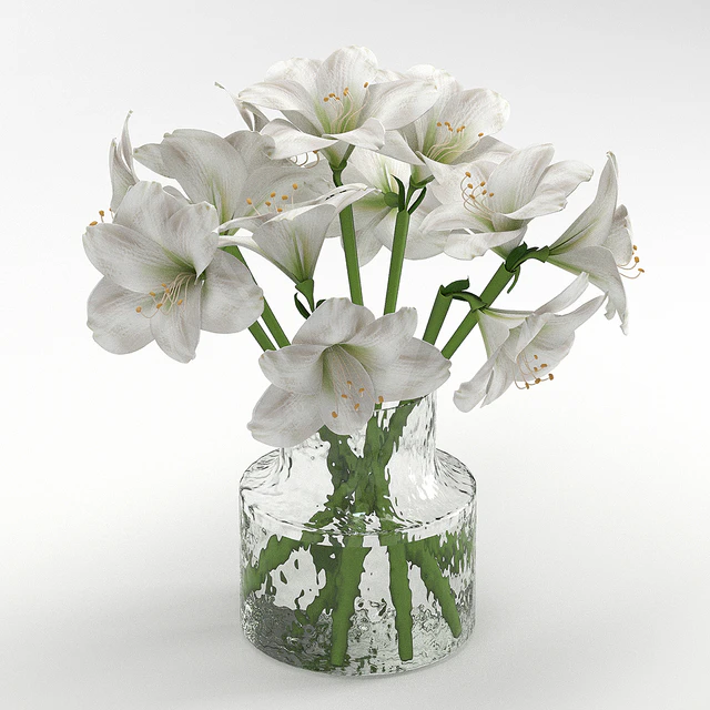 Bouquet 16 — Descargar