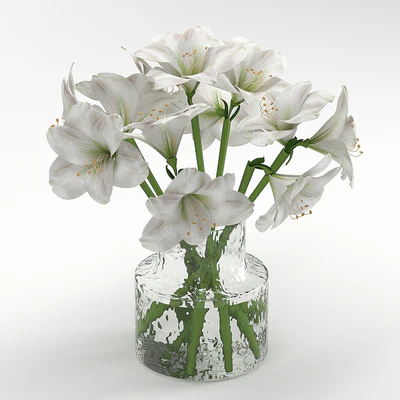 Bouquet 16 — Ver 2