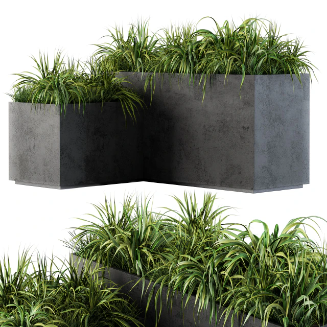 Outdoor Concrete Plant Box with Cereals and Green Grass — Скачать