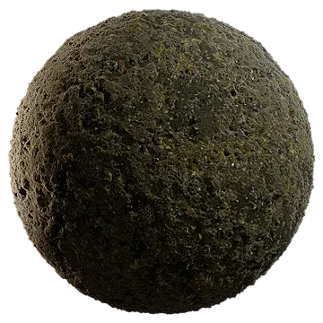 stony moss ground 001 — Descargar