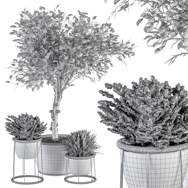 Outdoor Plants in Pot Snowy - Set 346 — Скачать