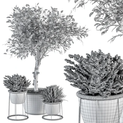 Outdoor Plants in Pot Snowy - Set 346 — Вид 2