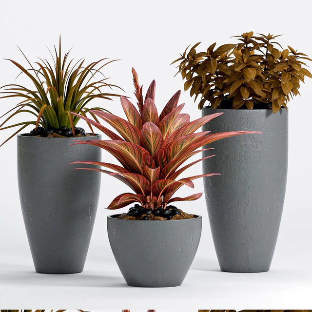 PLANT -17 — Descargar
