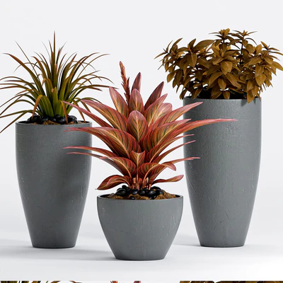 PLANT -17 — Ver 2