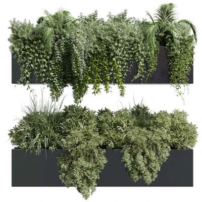 wall plant - hanging plants collection Indoor plant 219 — Ver 2
