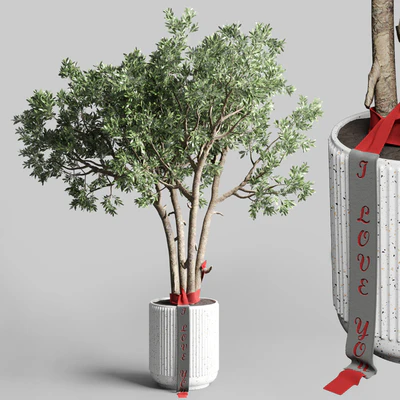 Indoor outdoor plant 111 pot friendship-love tree concrete vase — Вид 1