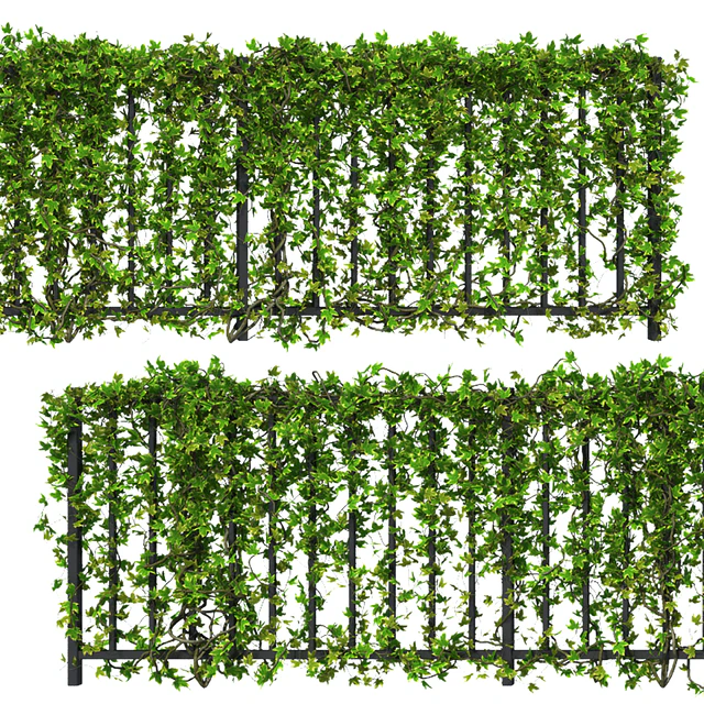 Fence with Ivy v16 — Скачать