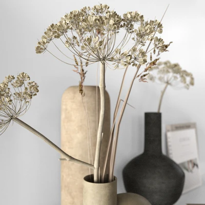Decorative Set 30 — Ver 2