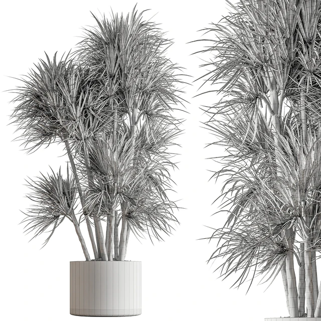 Indoor Plant 609 - Yuka Plants — Descargar