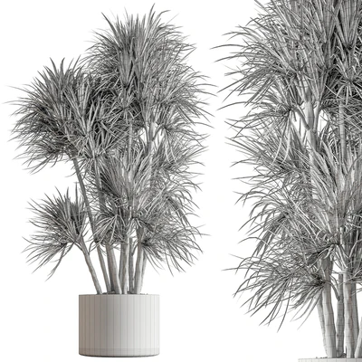 Indoor Plant 609 - Yuka Plants — Ver 3
