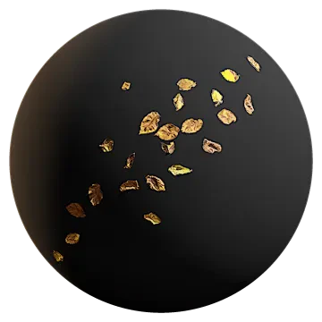 elm leaves 009 — Descargar