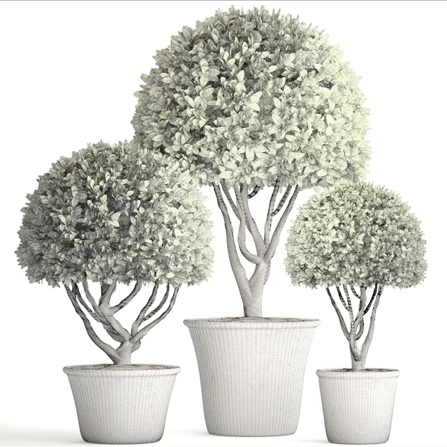 Collection of plants 126. Boxwood topiary, topiary, garden trees, garden plants, pot, outdoor flowerpot, bush, small tree — Descargar