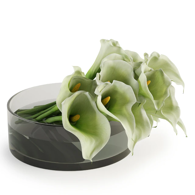 Calla lilies bouquets — Descargar