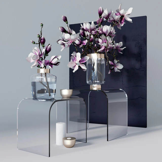 Decorative set with magnolia — Descargar