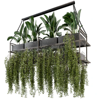 Indoor Hanging Plants in Metal Box - Set 269 — Ver 1