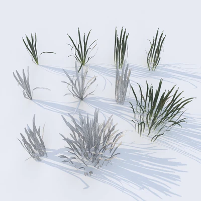 grass for landscape 11 — Вид 2