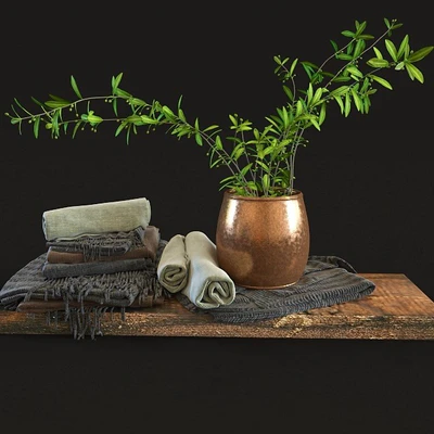 Olive set — Вид 1