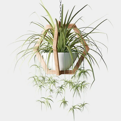 Ampelous plants in wooden figured hanging pots — Ver 2