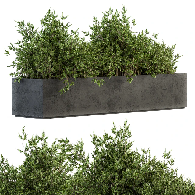 Outdoor Plants tree in Concrete Box - Set 126 — Descargar