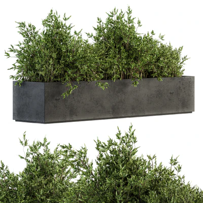 Outdoor Plants tree in Concrete Box - Set 126 — Ver 1