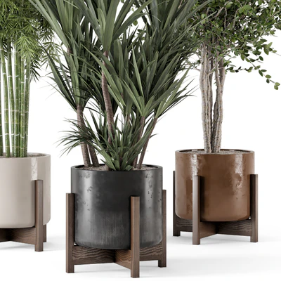 Indoor Plants in Combination of wood & concrete Pot - Set 723 — Вид 4