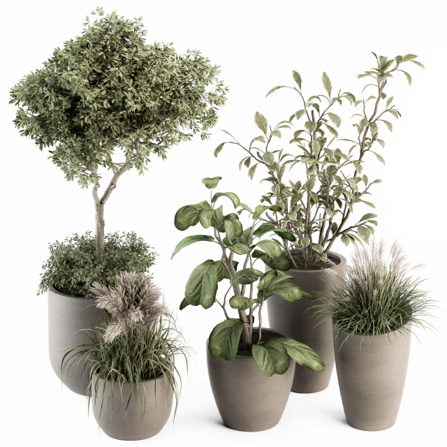 indoor Plant Set 264 - Plant Set in pot — Скачать