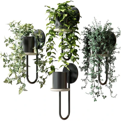 Ампельные растения в настенных кашпо CIGALES WALL От Miniforms — Вид 1