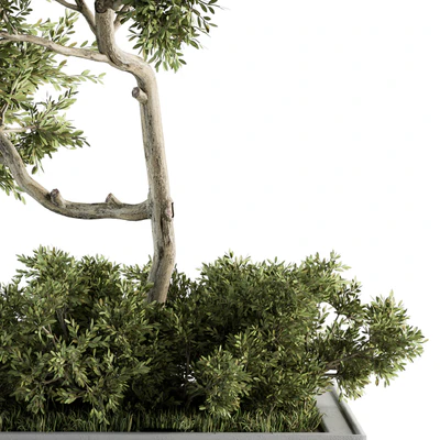 Garden set Tree and Bush - Garden Set 13 — Ver 2