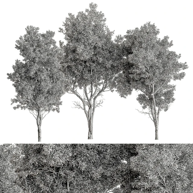 Broadleaf Tree Set 318 — Download