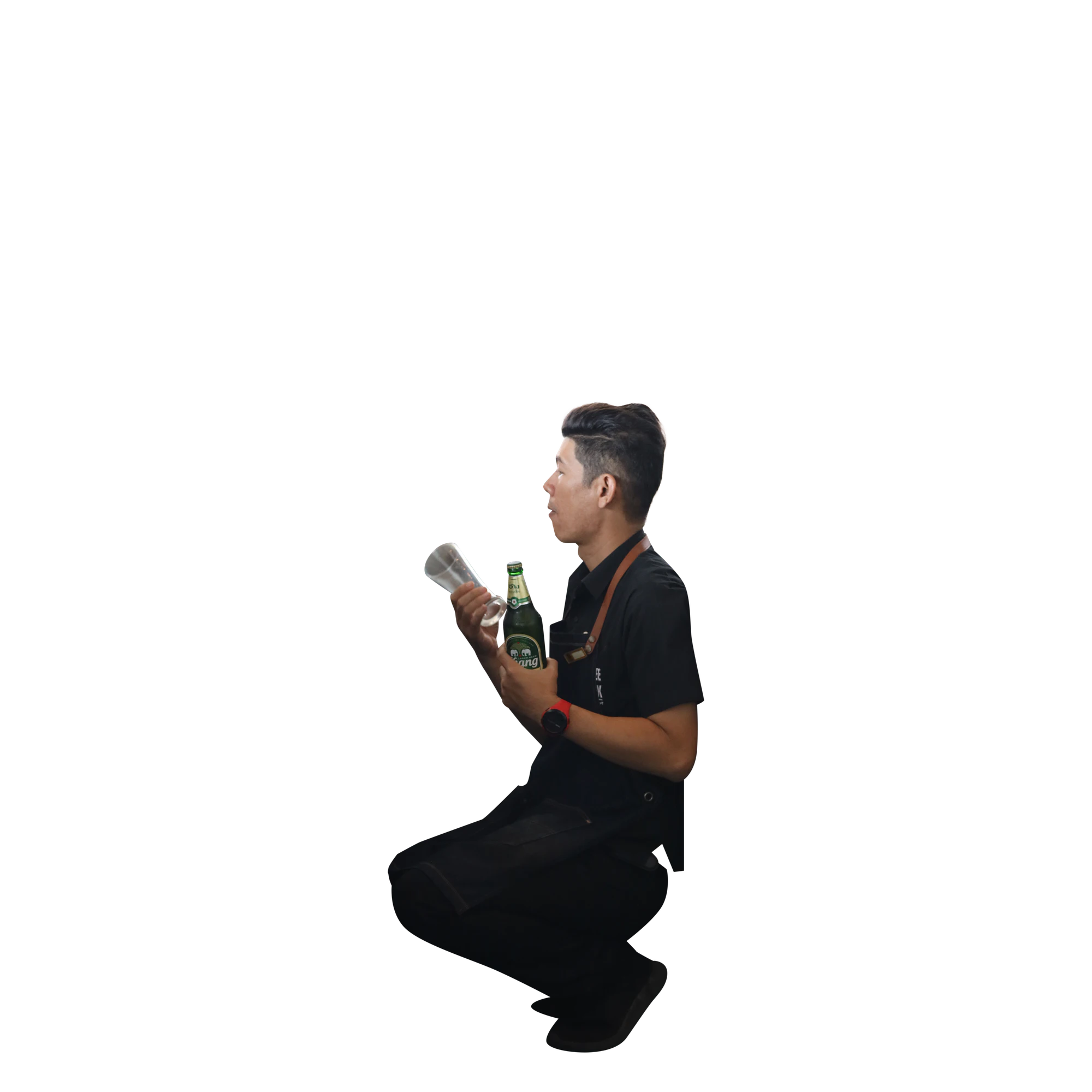 219 — Descargar