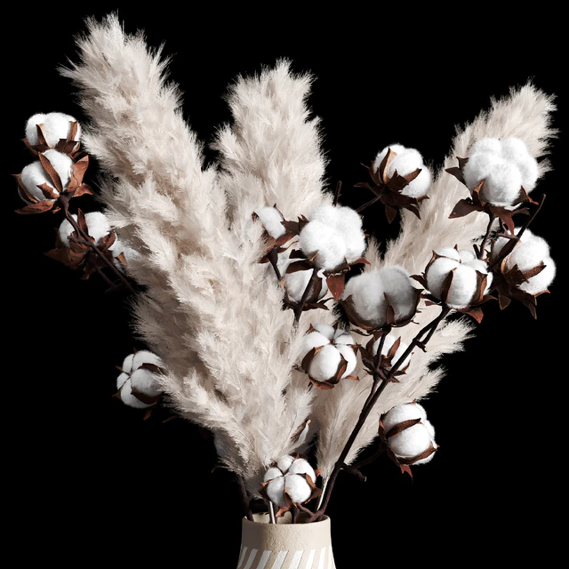 Decorative set pampas — Descargar