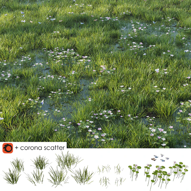 Grass and puddle — Descargar