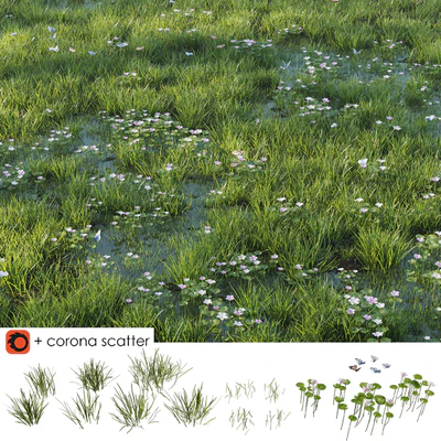 Grass and puddle — Ver 1