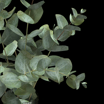Bouquet 10 — View 2