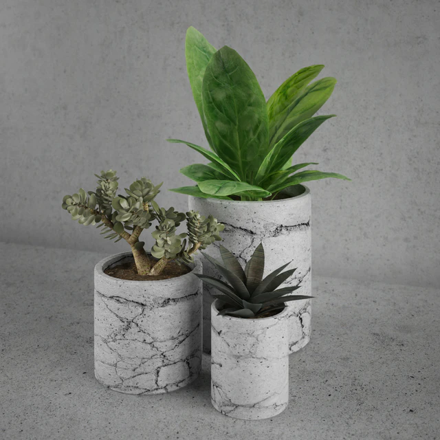 Decorative set / plants — Скачать
