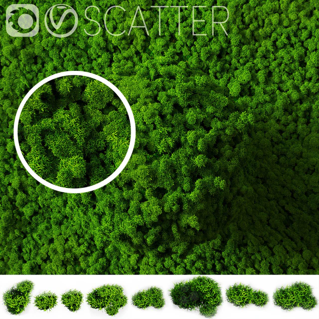 stabilized moss for scatter — Скачать