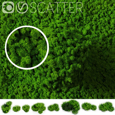 stabilized moss for scatter — Вид 1