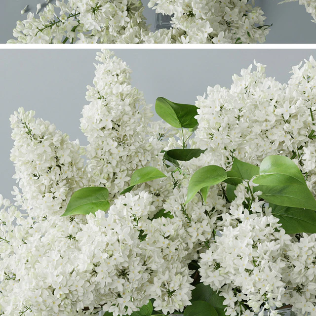 lilac 2 — Descargar
