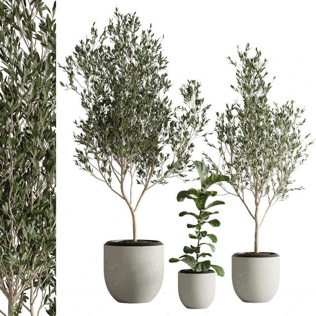 indoor plant set 43 — Descargar