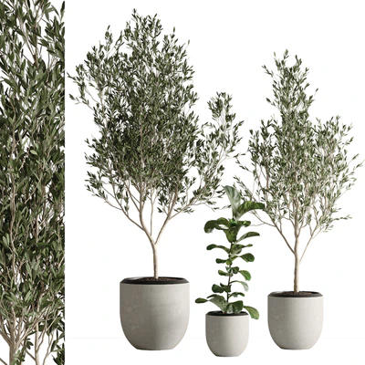 indoor plant set 43 — Ver 1