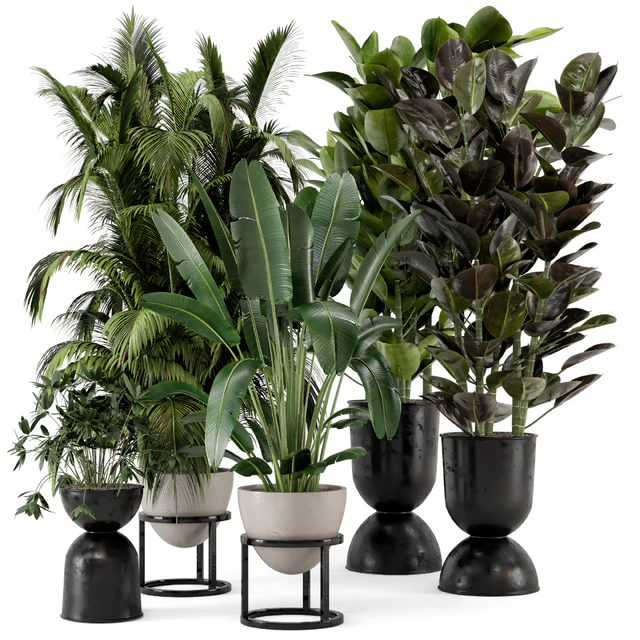 Indoor Plants in rusty Concrete Pot on Metal Shelf - Set 242 — Descargar